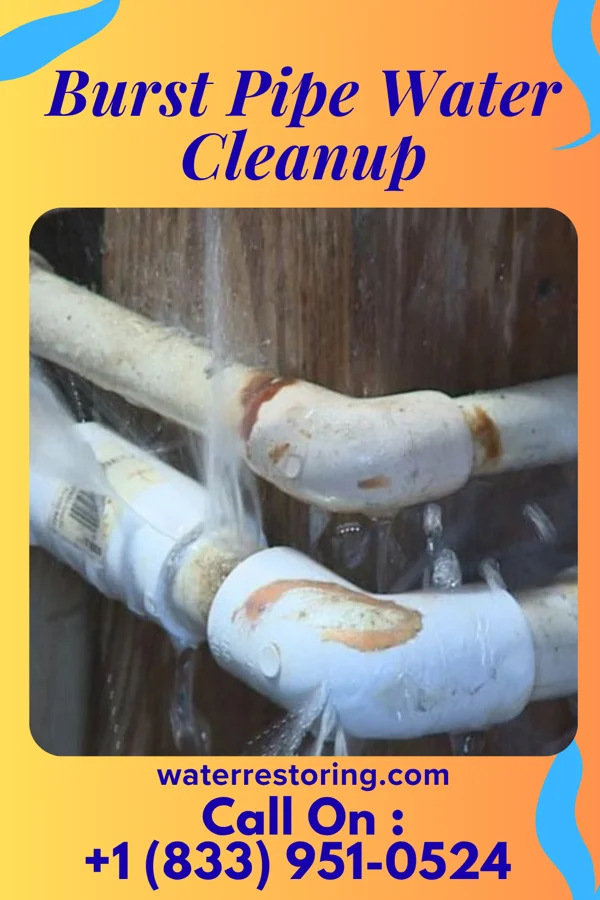 Burst Pipe Water Cleanup in Hazen, ND